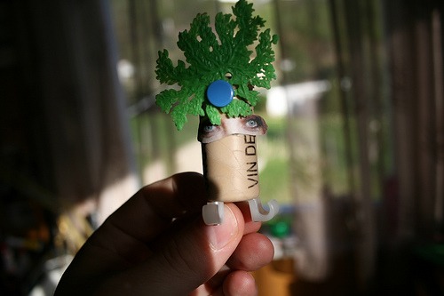 Upcycled tyke # 1 : The bush queen